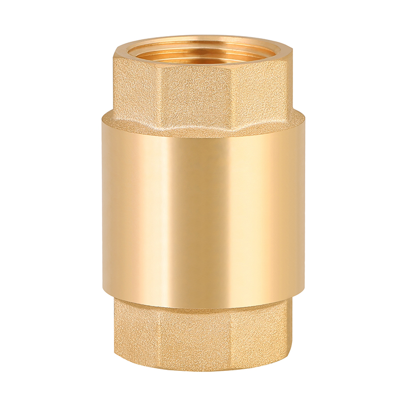 GH-4001 Brass vertical check valve
