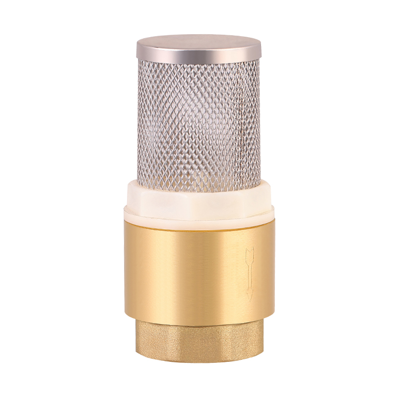 GH-4002 Brass foot  valve with filter