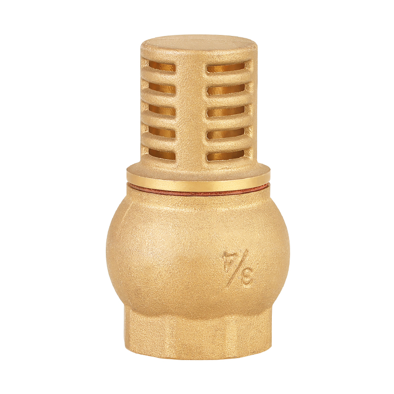 GH-4004 Brass water foot check valve 